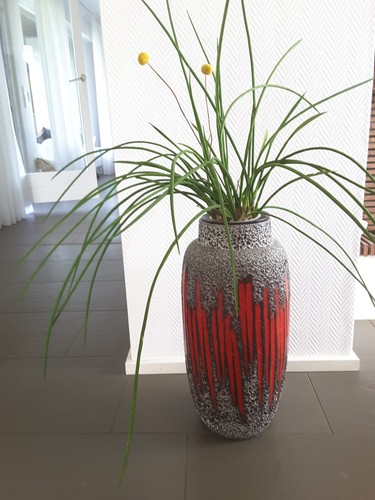 Scheurich fat lava - scheurich, vase